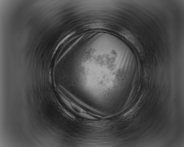 X0000052640782200507160156