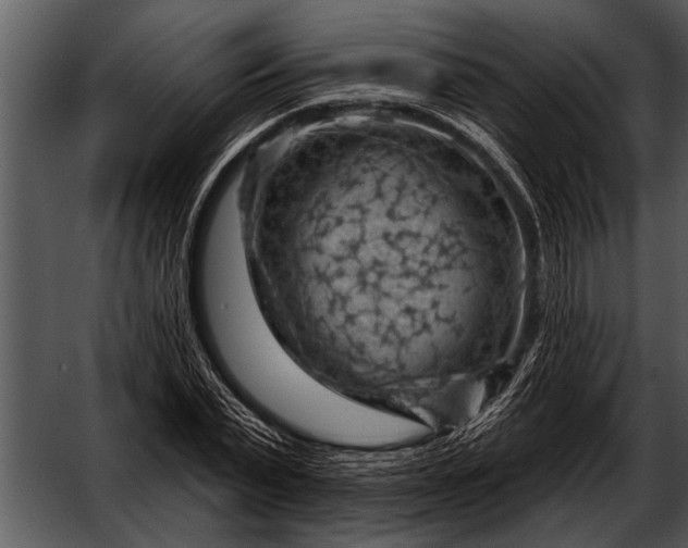 X0000052640783200507160155