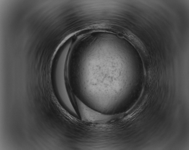 X0000052640784200507160155