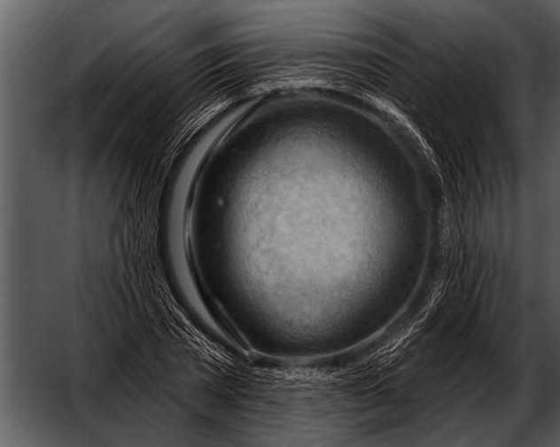 X0000052640785200507160155