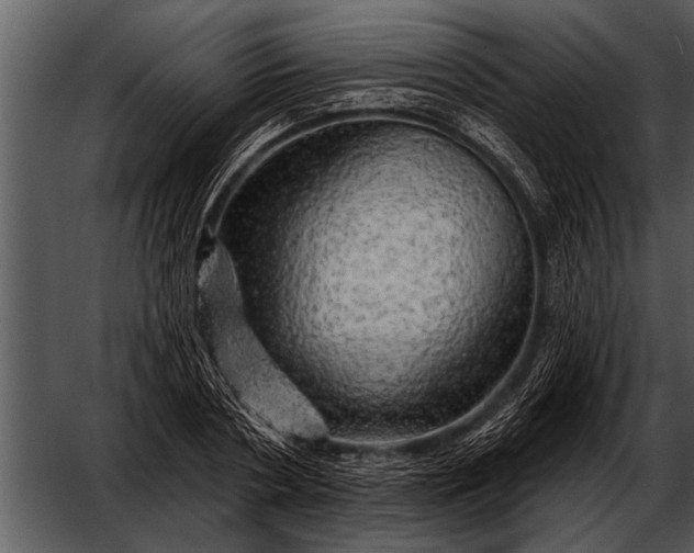 X0000052640786200507160155