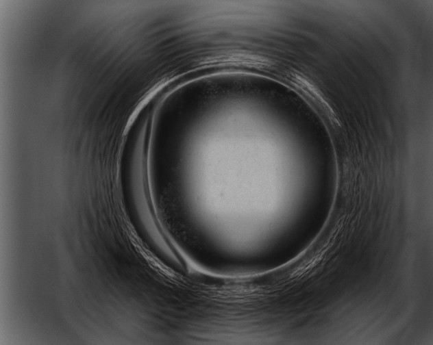 X0000052640788200507160155