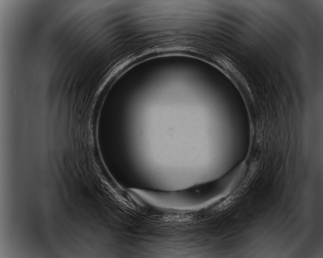 X0000052640789200507160155