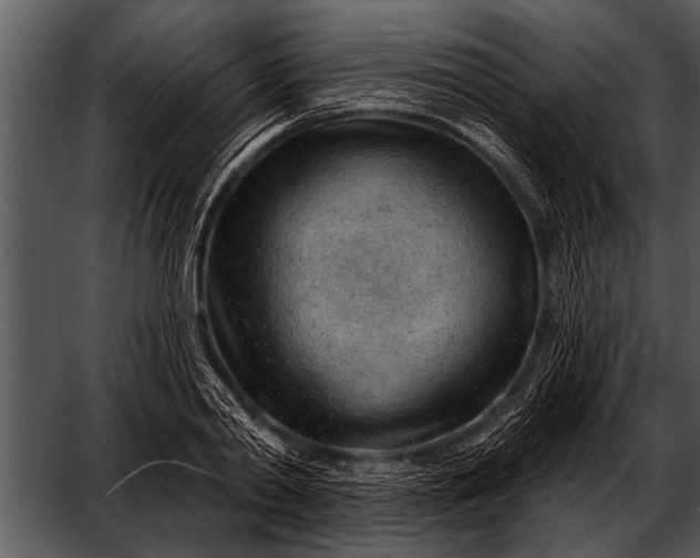 X0000052640790200507160155