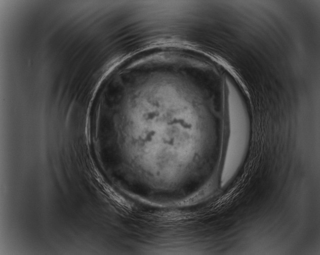 X0000052640791200507160155