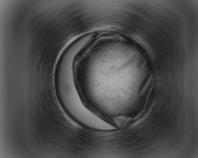 X0000052640792200507160155