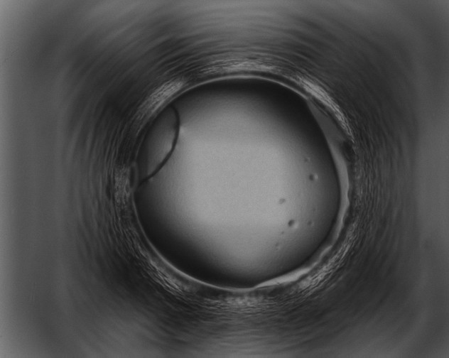 X0000052640793200507160155