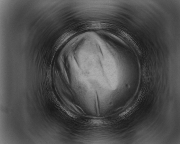 X0000052640794200507160155