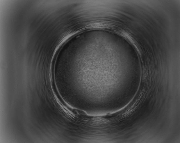 X0000052640795200507160155