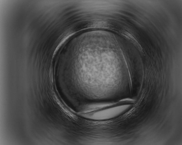 X0000052640796200507160155