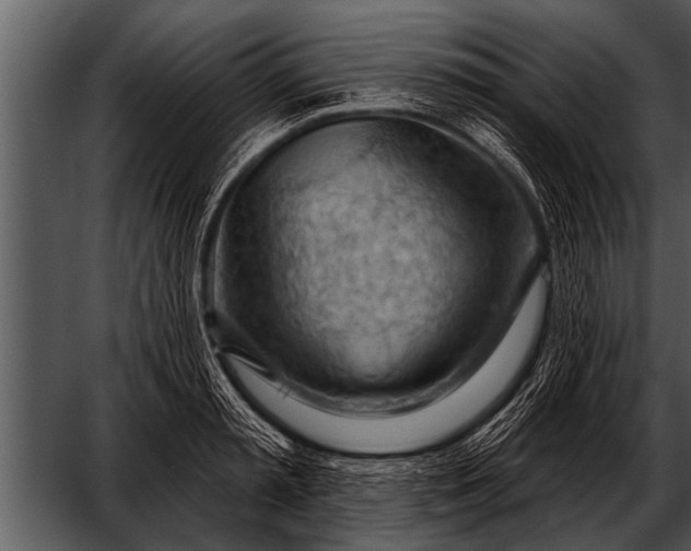 X0000052640797200507160155