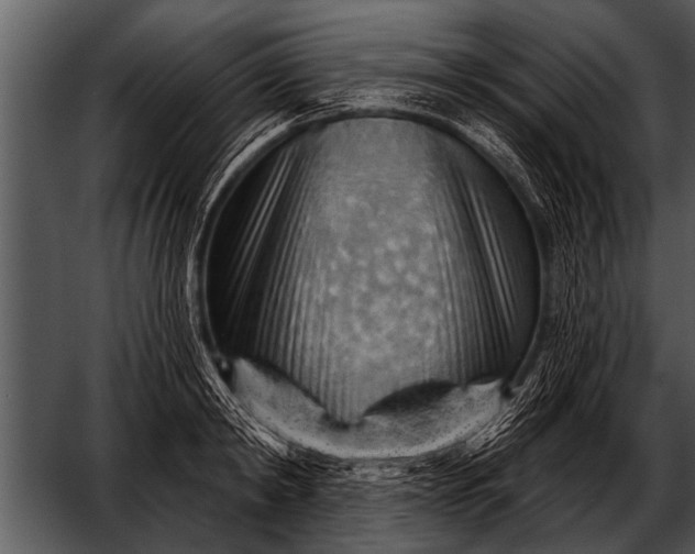 X0000052640798200507160155