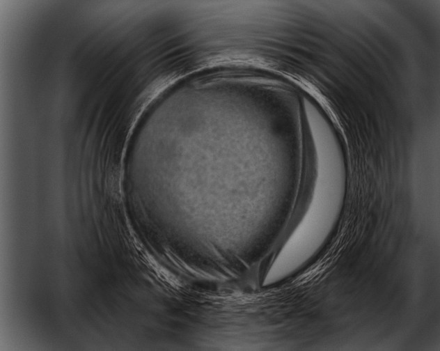 X0000052640799200507160155