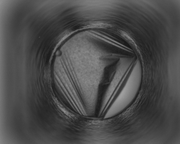 X0000052640800200507160155