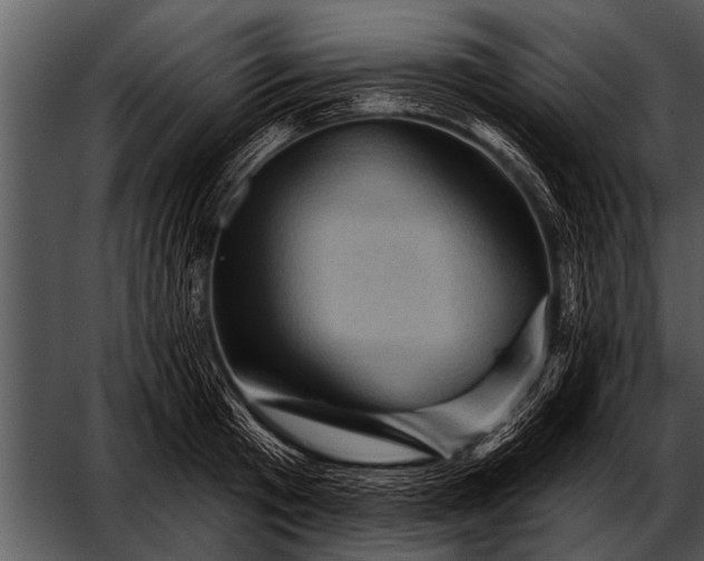 X0000052640801200507160155