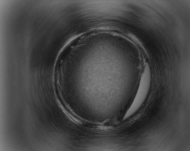 X0000052640803200507160155