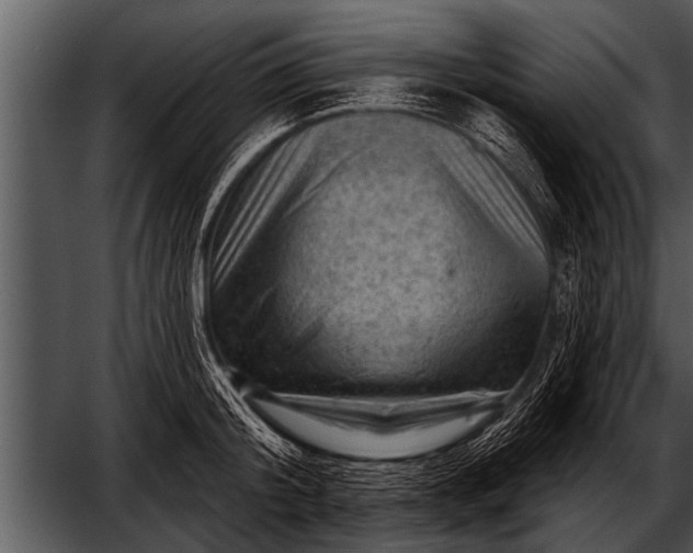 X0000052640804200507160155