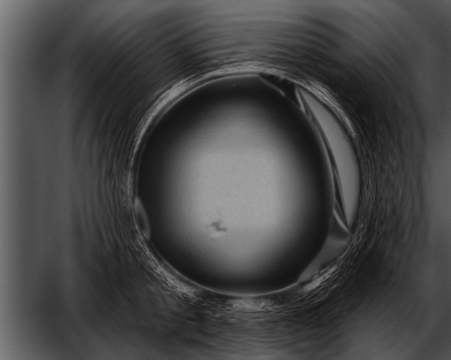 X0000052640805200507160155