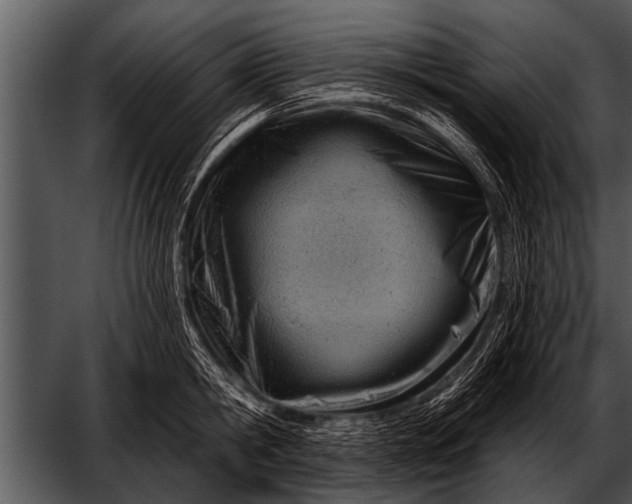 X0000052640806200507160155