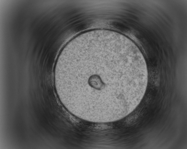 X0000052640807200507160155