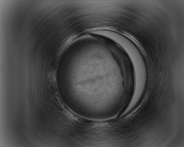 X0000052640809200507160155