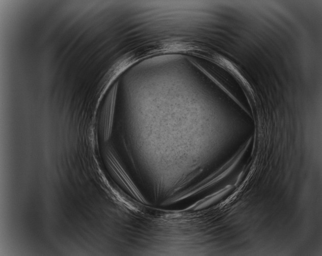 X0000052640810200507160155