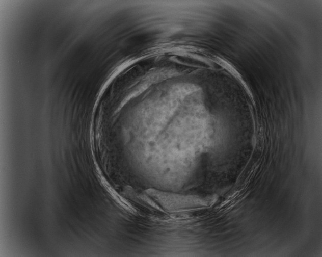 X0000052640811200507160155