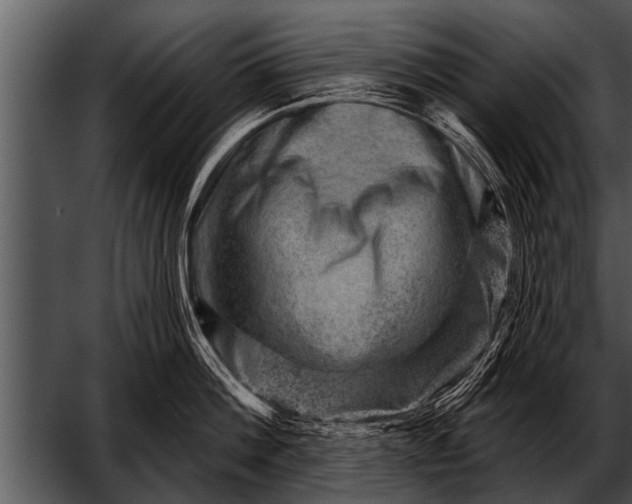 X0000052640812200507160155