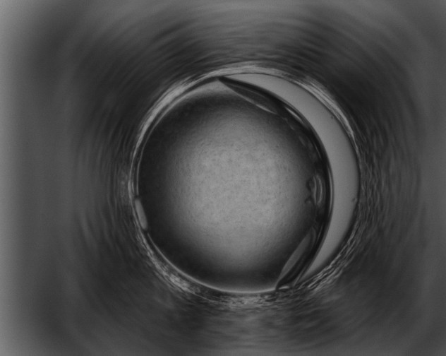 X0000052640813200507160155