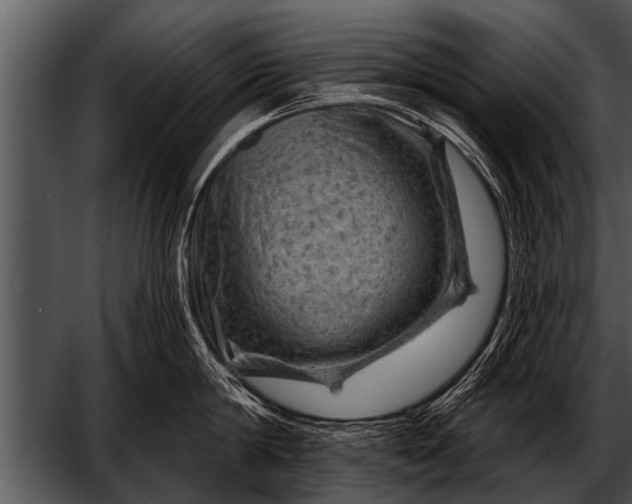 X0000052640814200507160155