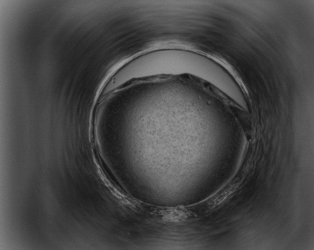 X0000052640815200507160155