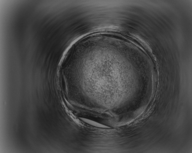 X0000052640816200507160155