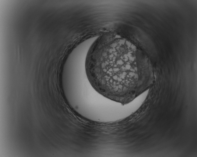 X0000052640817200507160154