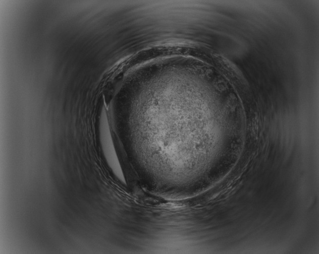 X0000052640821200507160154