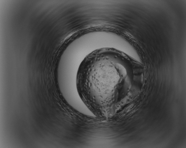 X0000052640822200507160154