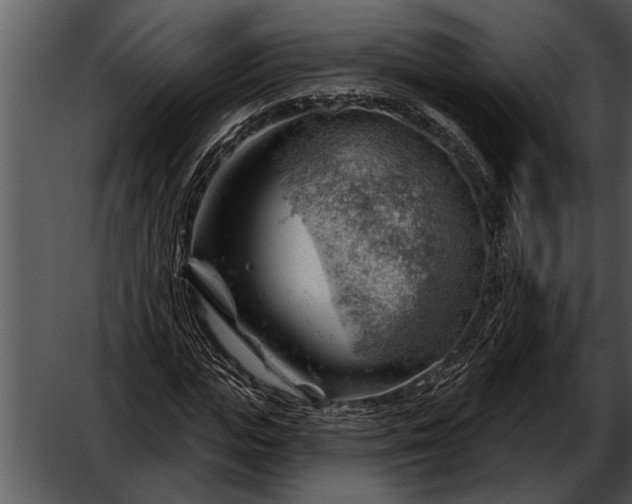 X0000052640823200507160154