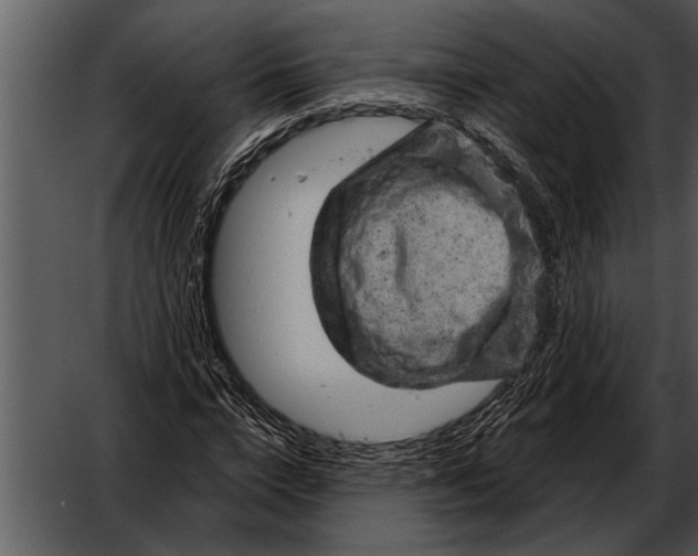 X0000052640824200507160154