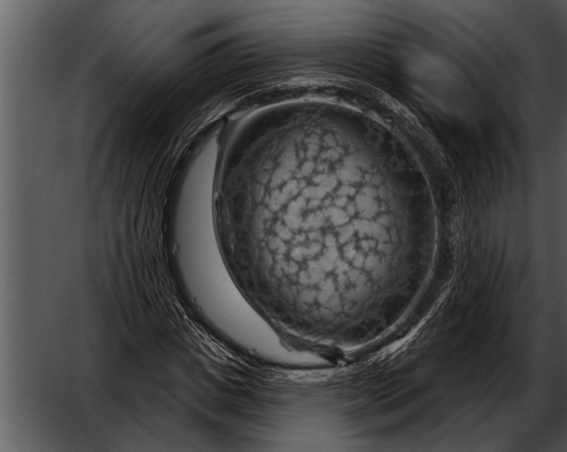 X0000052640825200507160154