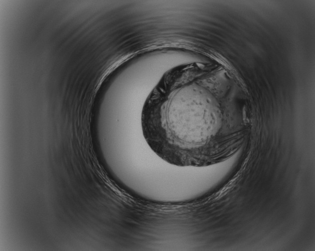 X0000052640826200507160154