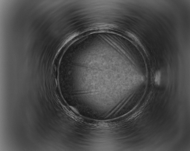 X0000052640827200507160154