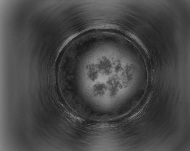 X0000052640829200507160154