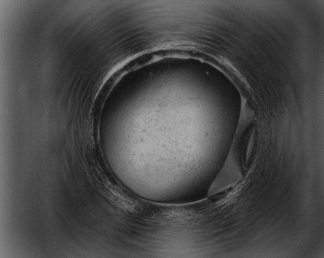 X0000052640830200507160154