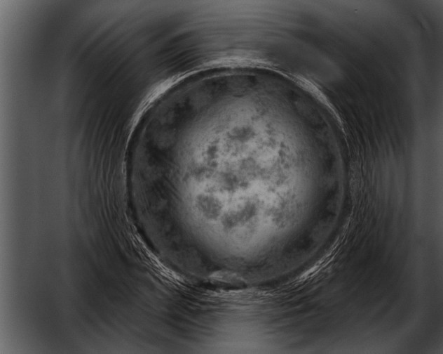 X0000052640831200507160154