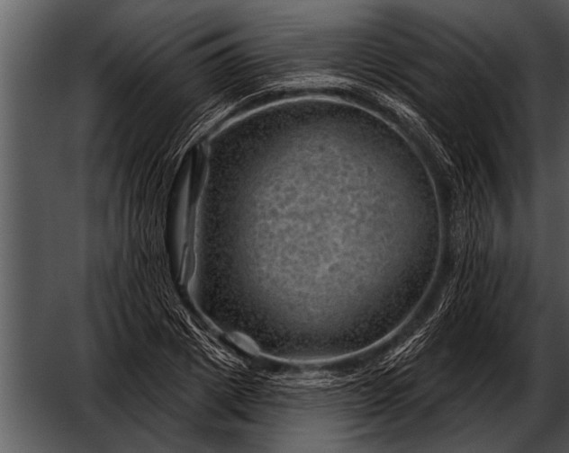 X0000052640833200507160154