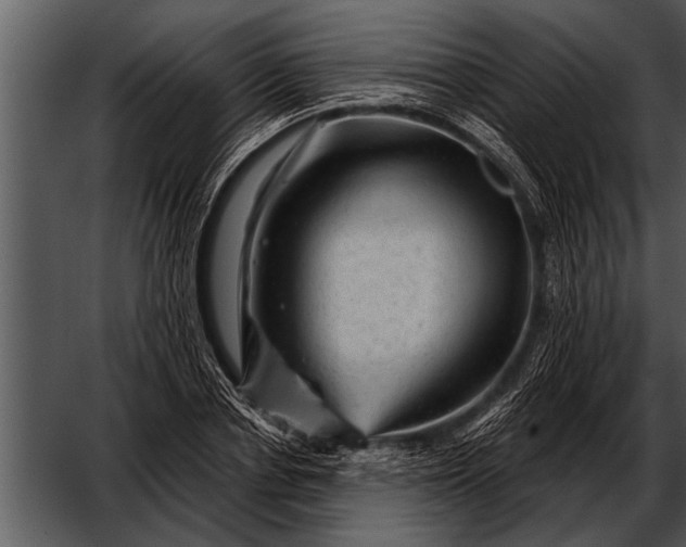 X0000052640834200507160154