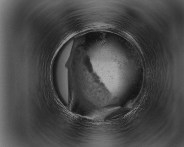 X0000052640835200507160154