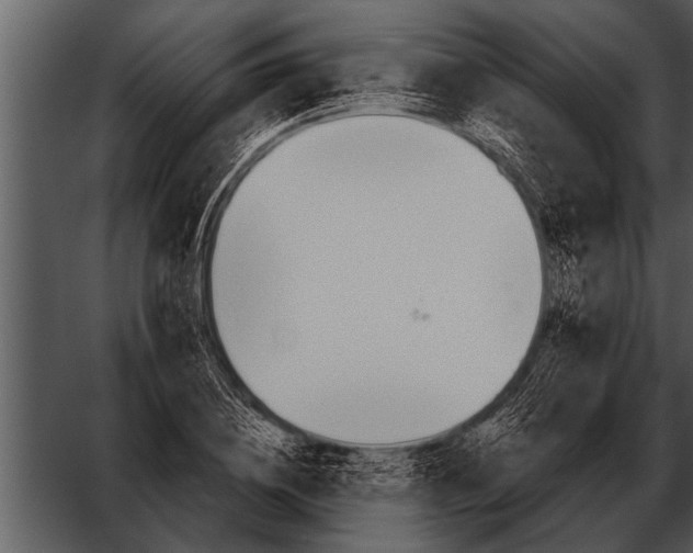 X0000052640836200507160154