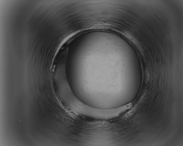 X0000052640838200507160154