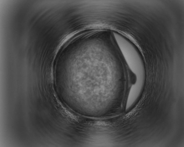 X0000052640839200507160154