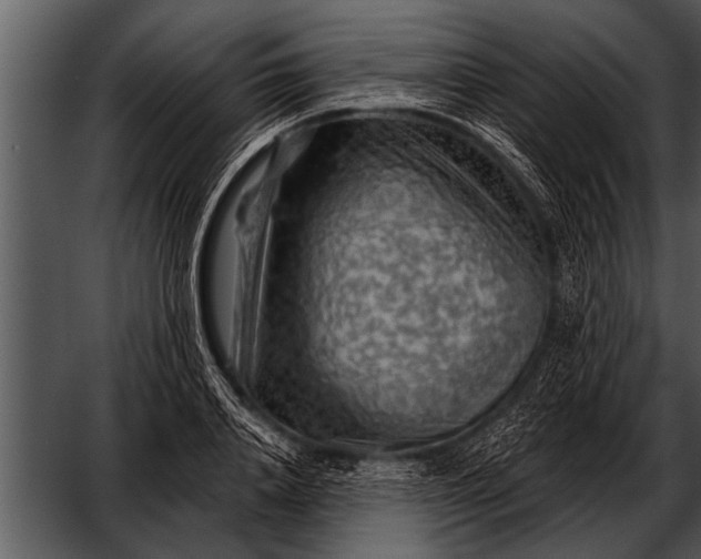 X0000052640840200507160155